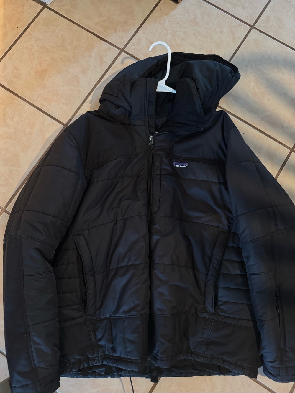 Patagonia Men's Black Hooded Puffer Jacket